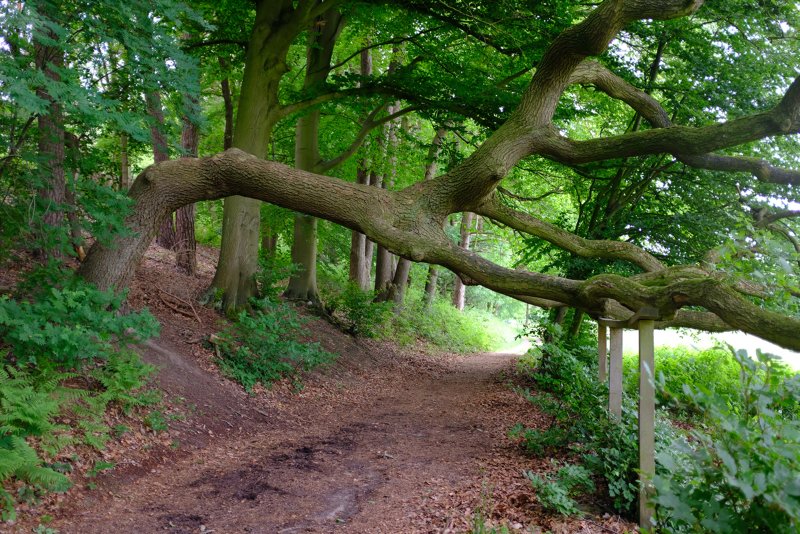 Wandelvakantie Venlo