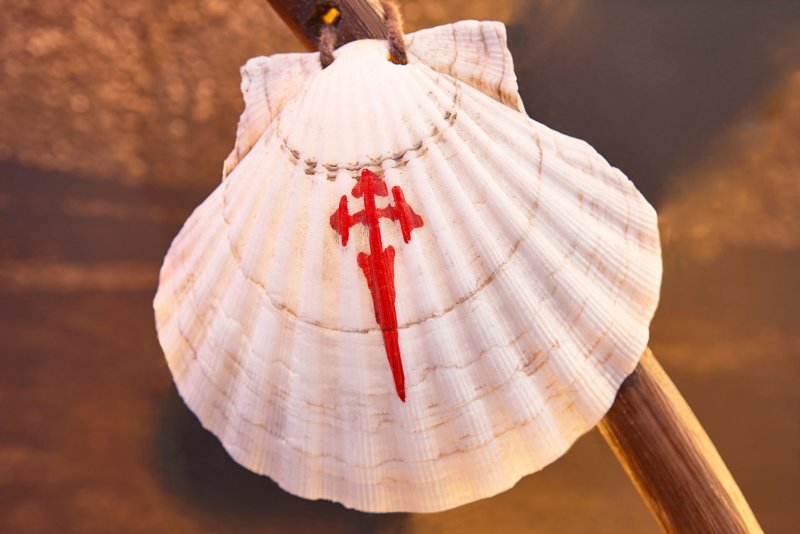 Camino
