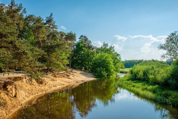 Vakantie tip
