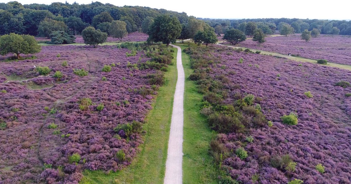 Fietsvakantie Assen - Ontdek het groene Drenthe