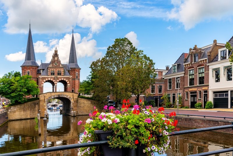 Sneek