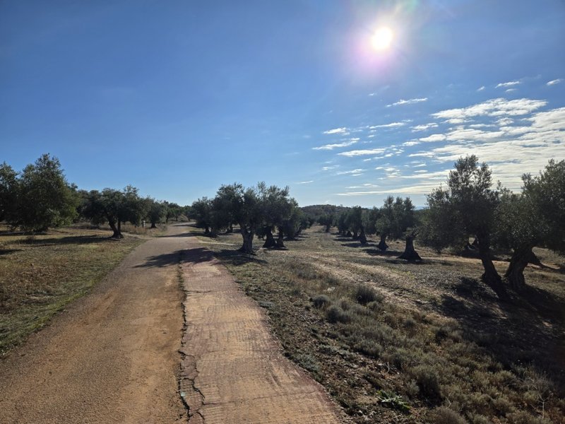 Dag 2, van Tielmes naar Huete