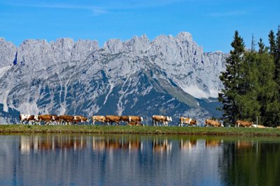 St. Johann fietsen Walchsee