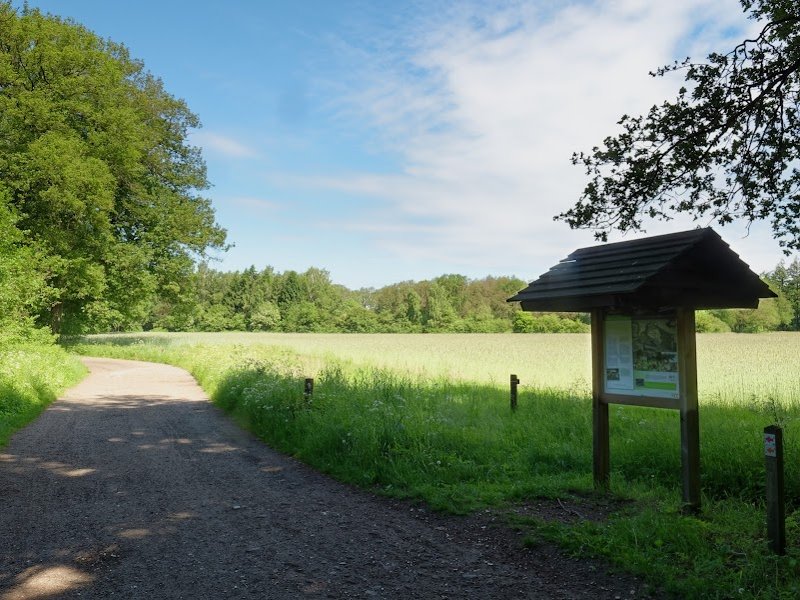 Hof van Espelo - Enschede