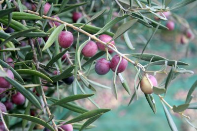 Santa Catarina pechao fietsvakantie