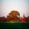 Ontdek Vorden het Achterhoekse landschap op de fiets