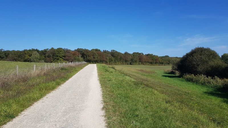 Onderweg Loire Kastelen