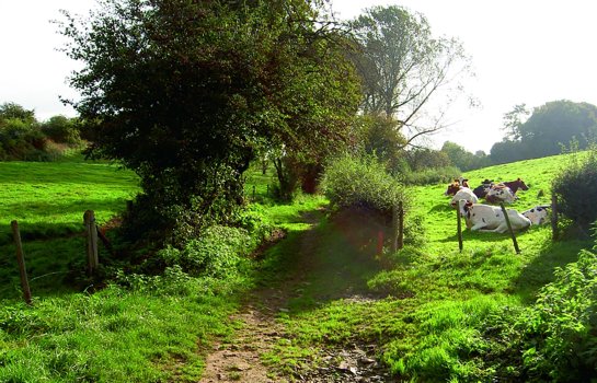 Afferden Roermond wandelvakantie