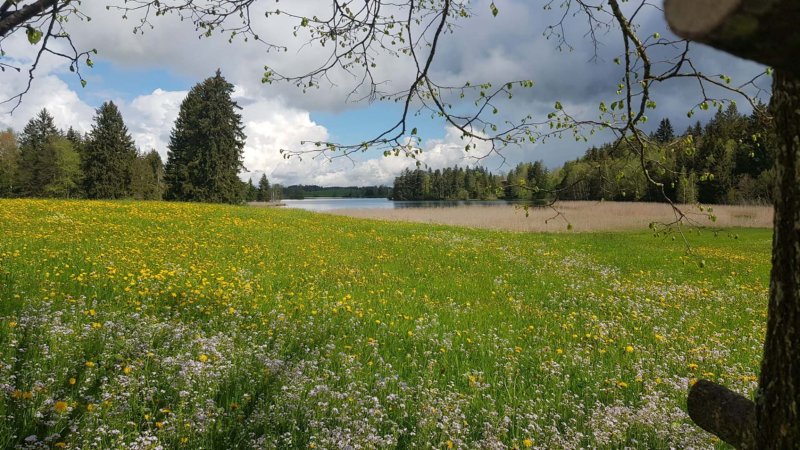 Hopfen am see fietsvakantie