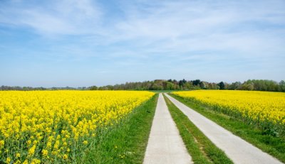 Fietsvakantie Vlaams-brabant Belgie