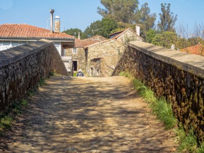 Melide Camino wandelen