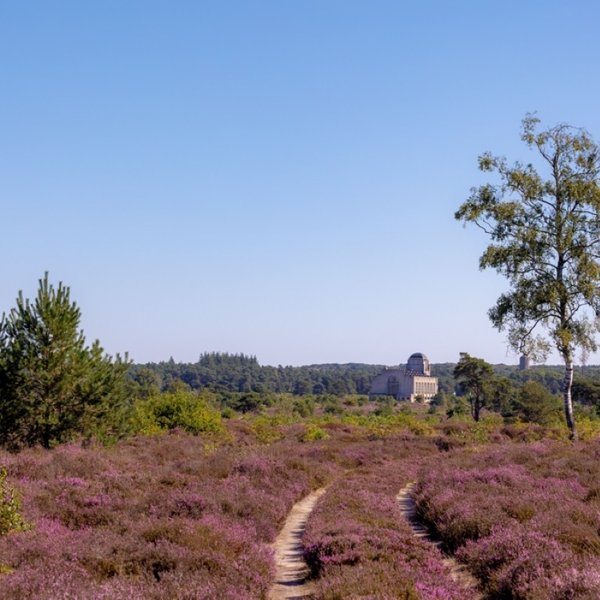 Kootwijkerzand