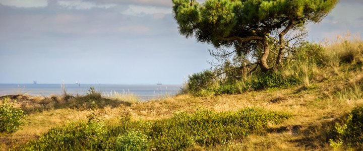 Wandelvakantie Friesland