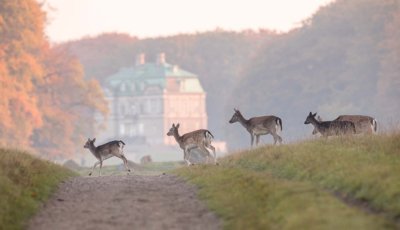 fietsvakantie denemarken