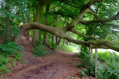 Pieterpad wandelvakantie Venlo