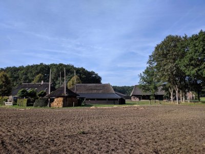 Rheeze en Beerze