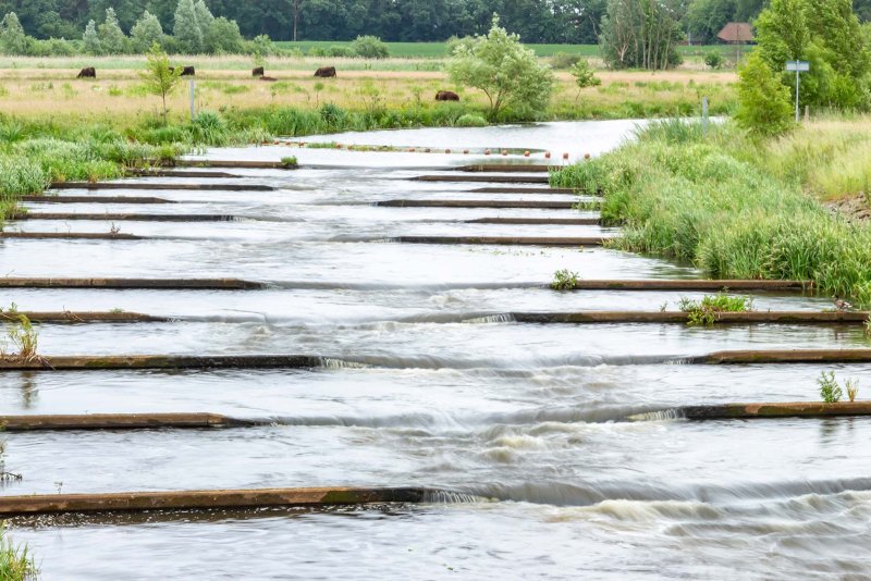 Vecht Beerze fietsvakantie