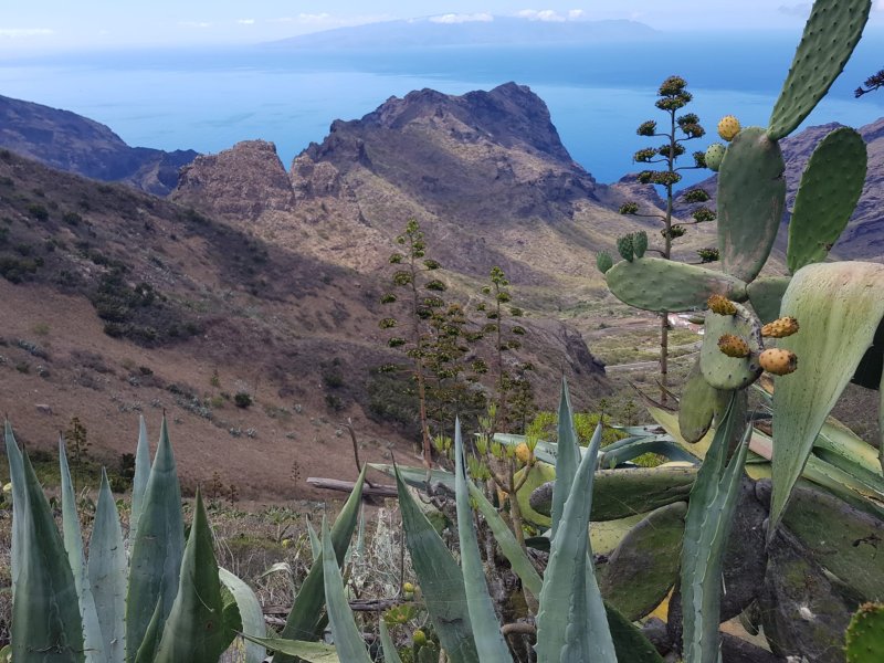 Uitzicht vanaf de Risco Verde
