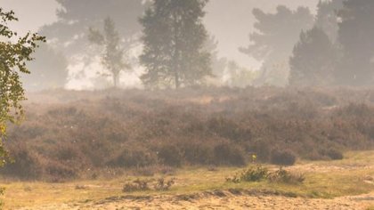 Wandelen door de mooiste natuurgebieden