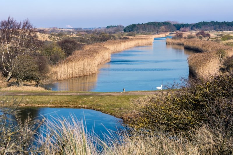 Amsterdamse waterleiding duinen