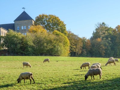 Gerleve fietsvakantie munsterland