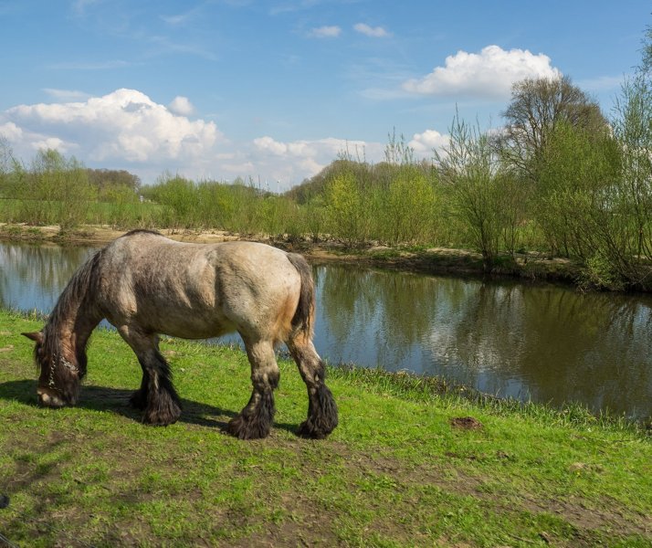 Berkelvallei